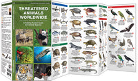 Threatened Animals Worldwide (2016)