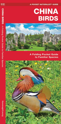 Waterford-China Birds