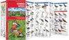 Waterford-China Birds