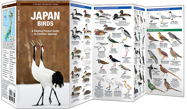 Waterford-Japan Birds