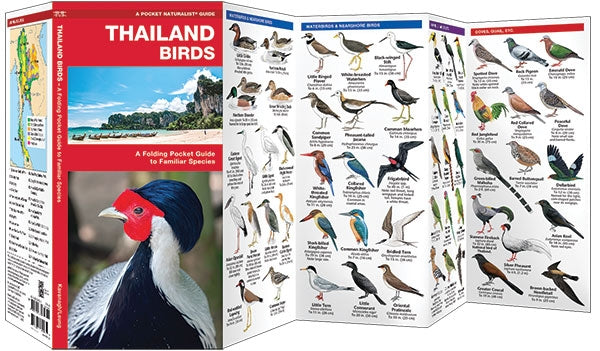 Waterford-Thailand Birds