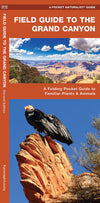 Waterford-A Field guide to the Grand Canyon (2017)