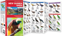 Waterford-New Guinea Birds
