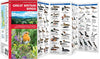 Vogelgids Great Britain Birds