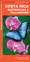Waterford-Costa Rica Butterflies & Moths