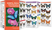 Waterford-Costa Rica Butterflies & Moths