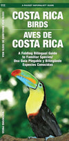Waterford-Costa Rica Birds