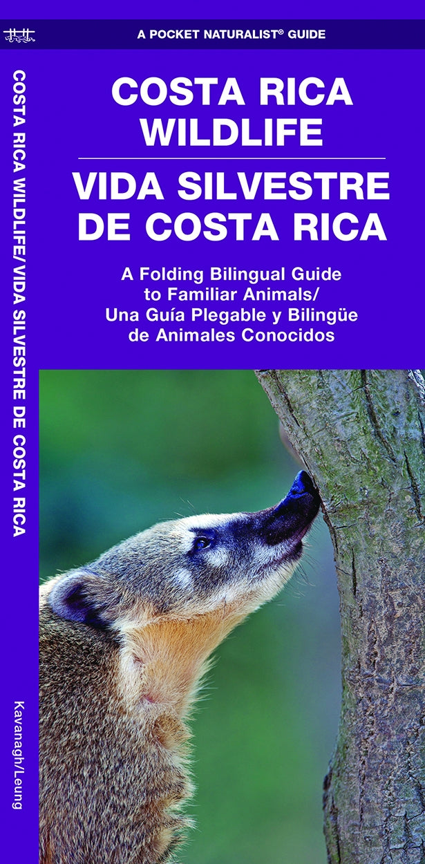 Wildlife - Costa Rican Wildlife