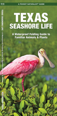Waterford-Texas Seashore Life (Plants & Animals)