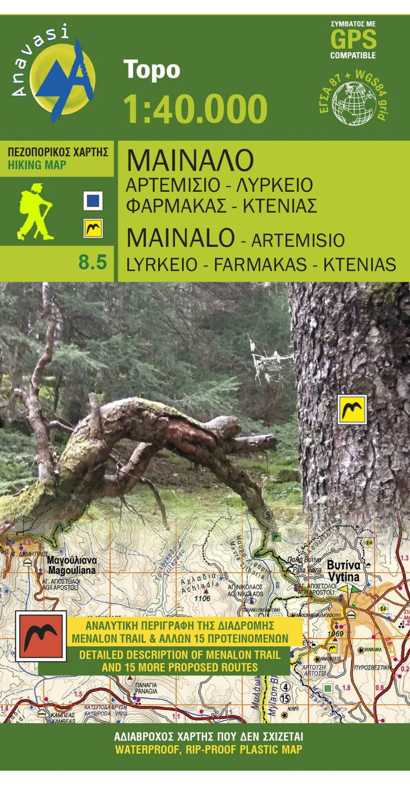 Wandelkaart Topo 40 Mt. Mainalo - Artemisio (8.5)