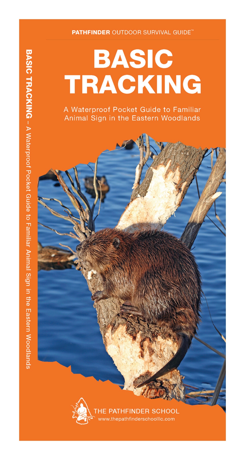 Basic Tracking - A Waterproof Pocket Guide to Familiar Animal Sign in the Eastern Woodlands