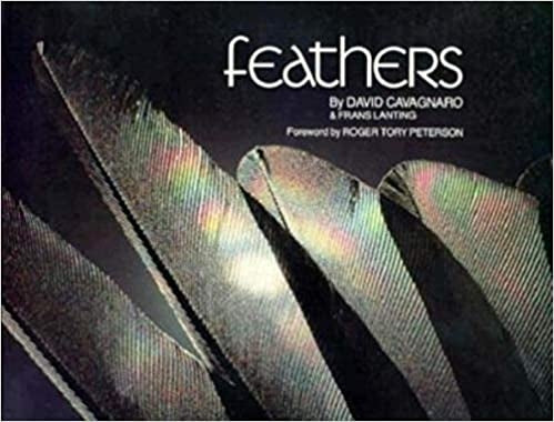 Feathers