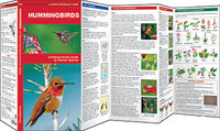 Waterford Hummingbirds (2013)
