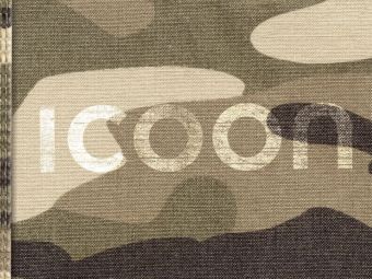 Icon camouflage