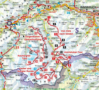 Rother WanderfÃ¼hrer Trekking im Ã–tztal - Pitztal 37 Etappen (1.A 2016)