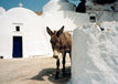 Samos Patmos Northern Dodecanese-42 walks on Ten Islands