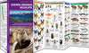 Nature Pocket Guide-Sierra Nevada Wildlife (2013)