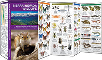 Natuurzakgids-Sierra Nevada Wildlife (2013)