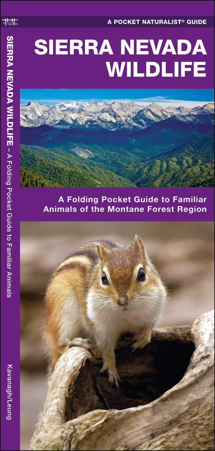 Nature Pocket Guide-Sierra Nevada Wildlife (2013)