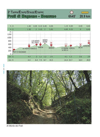 Wandelkaart en Gids: Via degli Dei