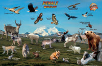 Denali National Park Map &amp; Wildlife Guide Laminated Card